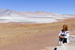 Désert d'Atacama - Lagunes du Salar et Geyser du Tatio